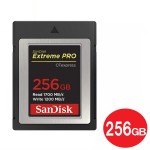 SDCFE-256G-GN4IN