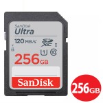 SDSDUN4-256G-GN6IN