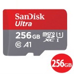 SDSQUA4-256G-GN6MN