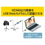 UCP-HD31