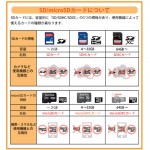 SDSDUN4-064G-GN6IN-2P