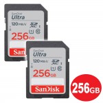 SDSDUN4-256G-GN6IN-2P