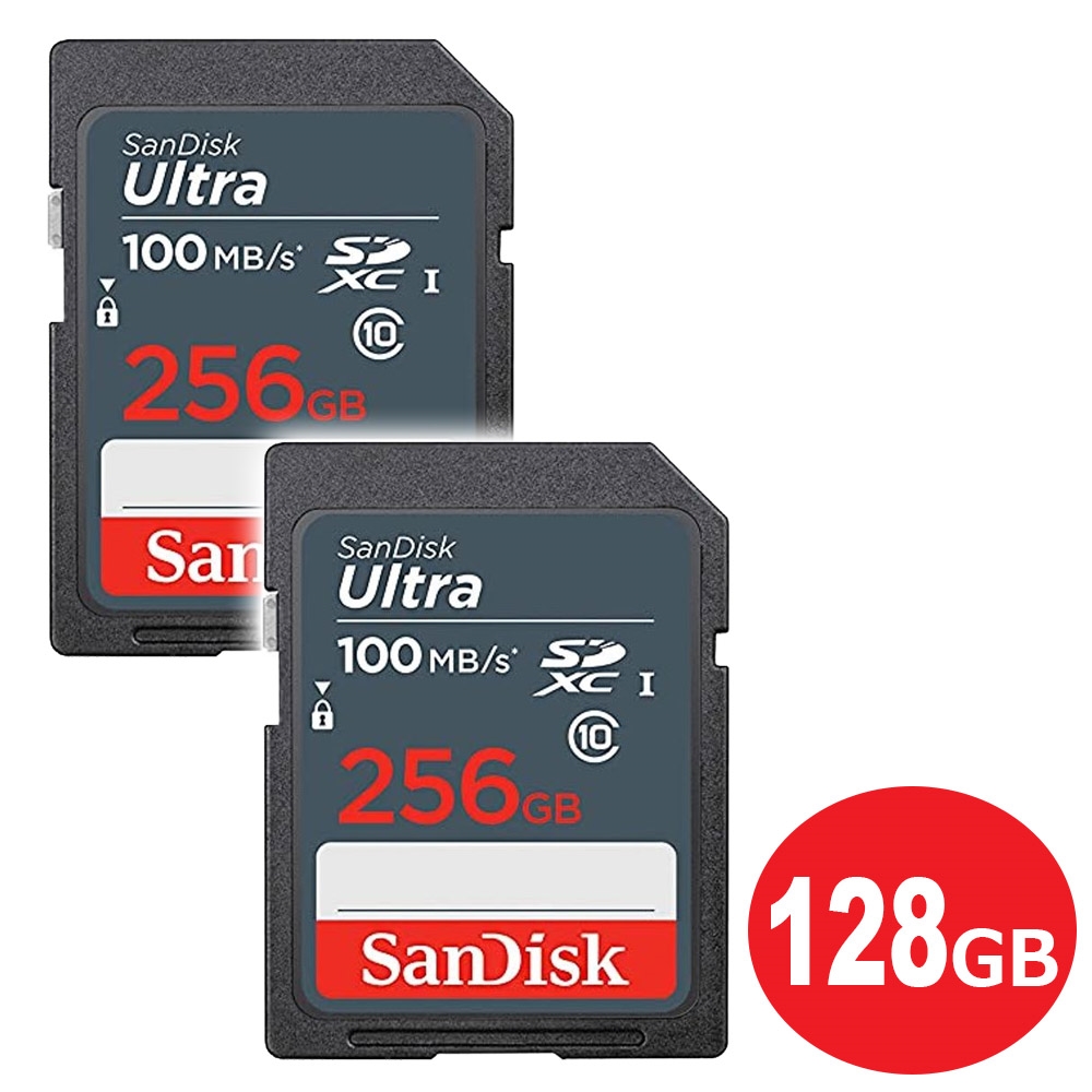 SanDisk マイクロSDカード 256GB×2