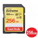 SDSDXV5-256G-GNCIN-2P