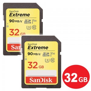 SDSDXVE-032G-GNCIN-2P