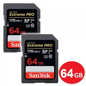 SDSDXXY-064G-GN4IN-2P