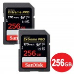 SDSDXXY-256G-GN4IN-2P