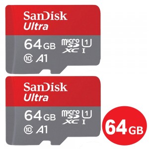 SDSQUA4-064G-GN6MN-2P