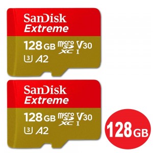 SDSQXA1-128G-GN6MN-2P