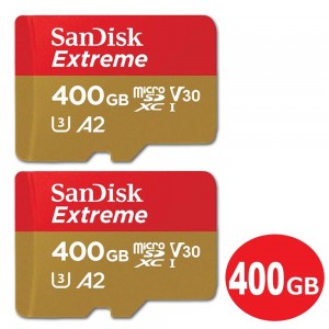 SDSQXA1-400G-GN6MN-2P
