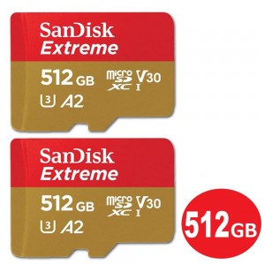 SDSQXA1-512G-GN6MN-2P