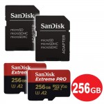 SDSQXCZ-256G-GN6MA-2P