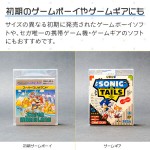 RCC-GBCASE-5P