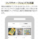RCC-SFCPACK-50P