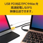 USB-CCD18BK