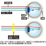 CC-SLBF2-CL