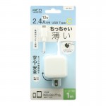 IAC-10S1WH