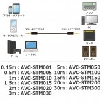 AVC-STM100