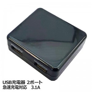 IACU2SP31K