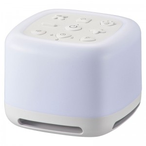 ASP-WS300N
