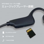 BK0029BK