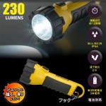 LHP-P21D7