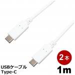 MOB-TYPECUSB10-WH-2P