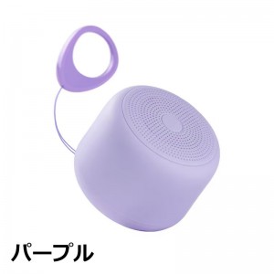 ASP-317PR
